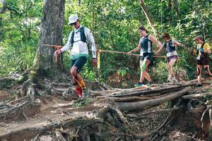 BIB: 
                            <button type="button" onclick="openModal(27556079)" class="btn btn-primary btn-sm float-right btn-popup" data-toggle="modal" data-target=".modal-high-quality">
                        <i class="fas fa-shopping-cart"></i> Add to Cart
                    </button>
                                            <button type="button" onclick="isThisMe(27556079, true)" class="btn btn-success btn-sm float-right btn-popup btn-isme hidden" data-toggle="tooltip" data-placement="bottom" title="นี่คือรูปของคุณใช่ไหม คลิกที่นี่เพื่อเอาเข้าอัลบั้ม">
                        <i class="fas fa-plus"></i> Add to album
                    </button>
                    <button type="button" onclick="isThisMe(27556079, false)" class="btn btn-warning btn-sm float-right btn-popup btn-isnotme hidden">
                        <i class="fas fa-ban"></i> Remove from album
                    </button>